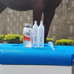 Vacuna Encefalitis Equina