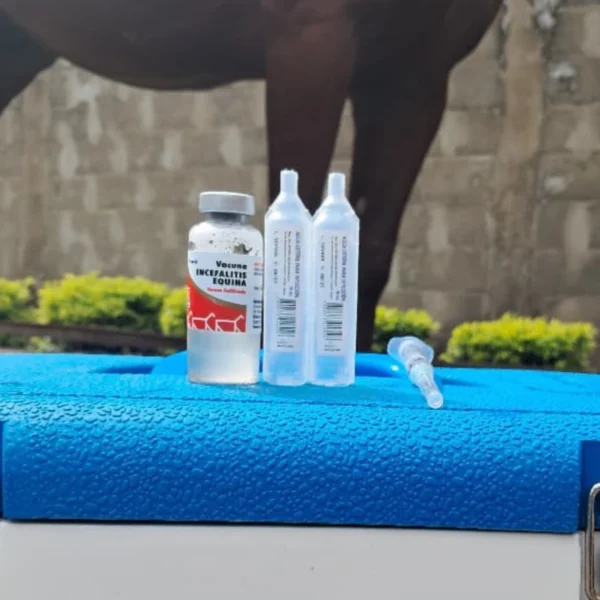 Vacuna Encefalitis Equina