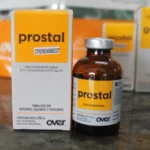 Prostal 20ml